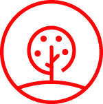 MISSION AND CORPORATE VALUES